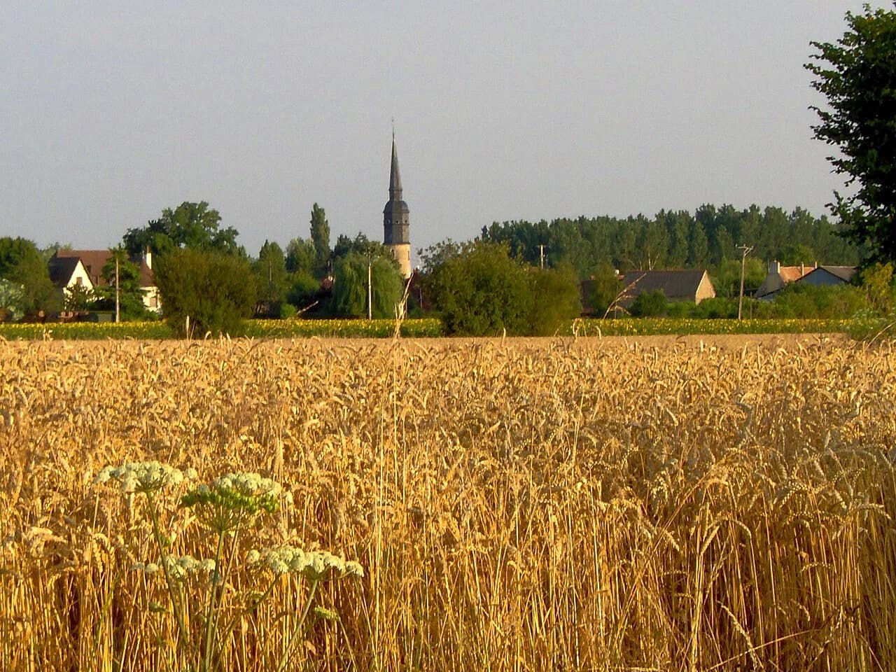 Congé-sur-Orne