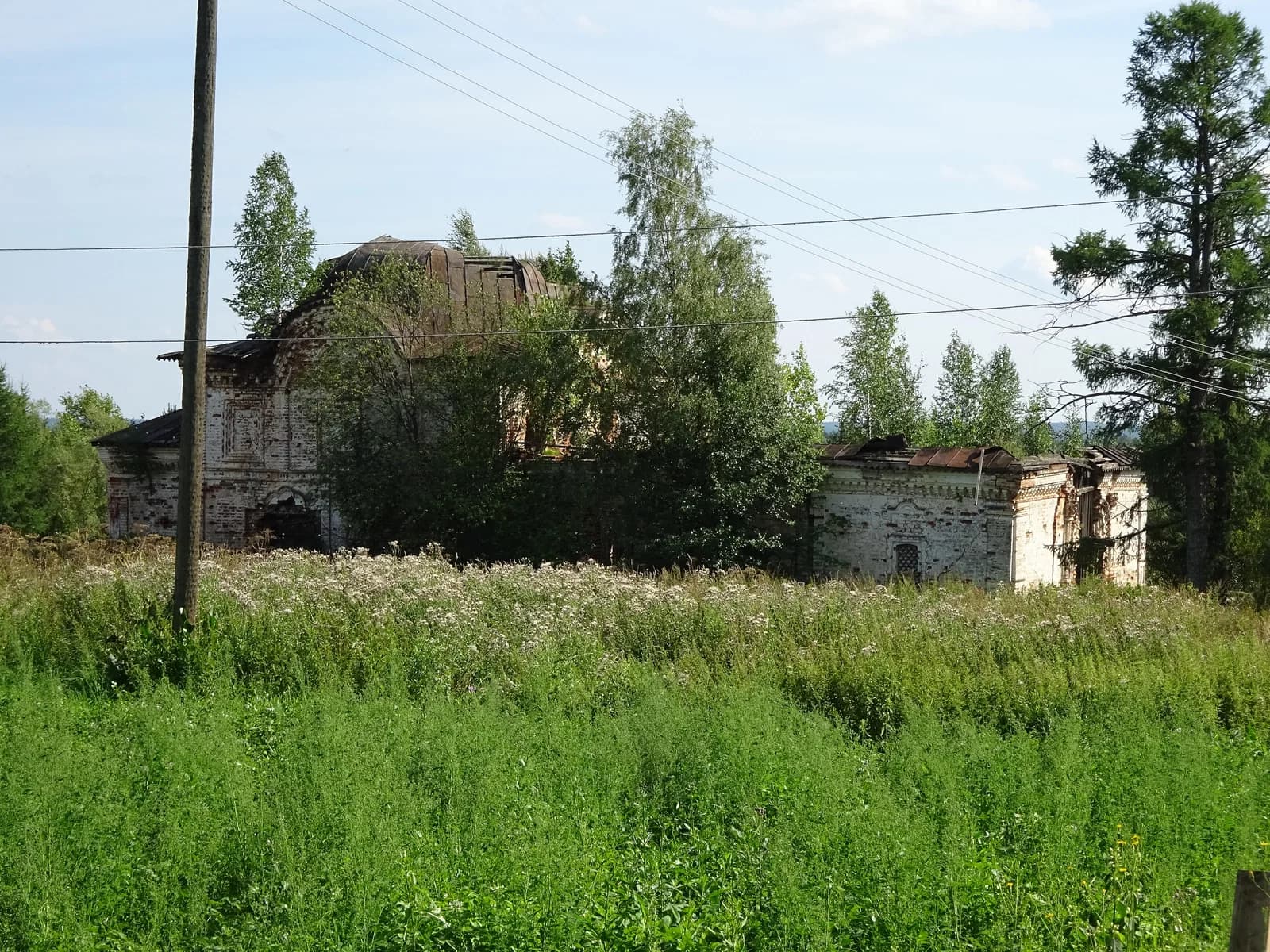 Irta