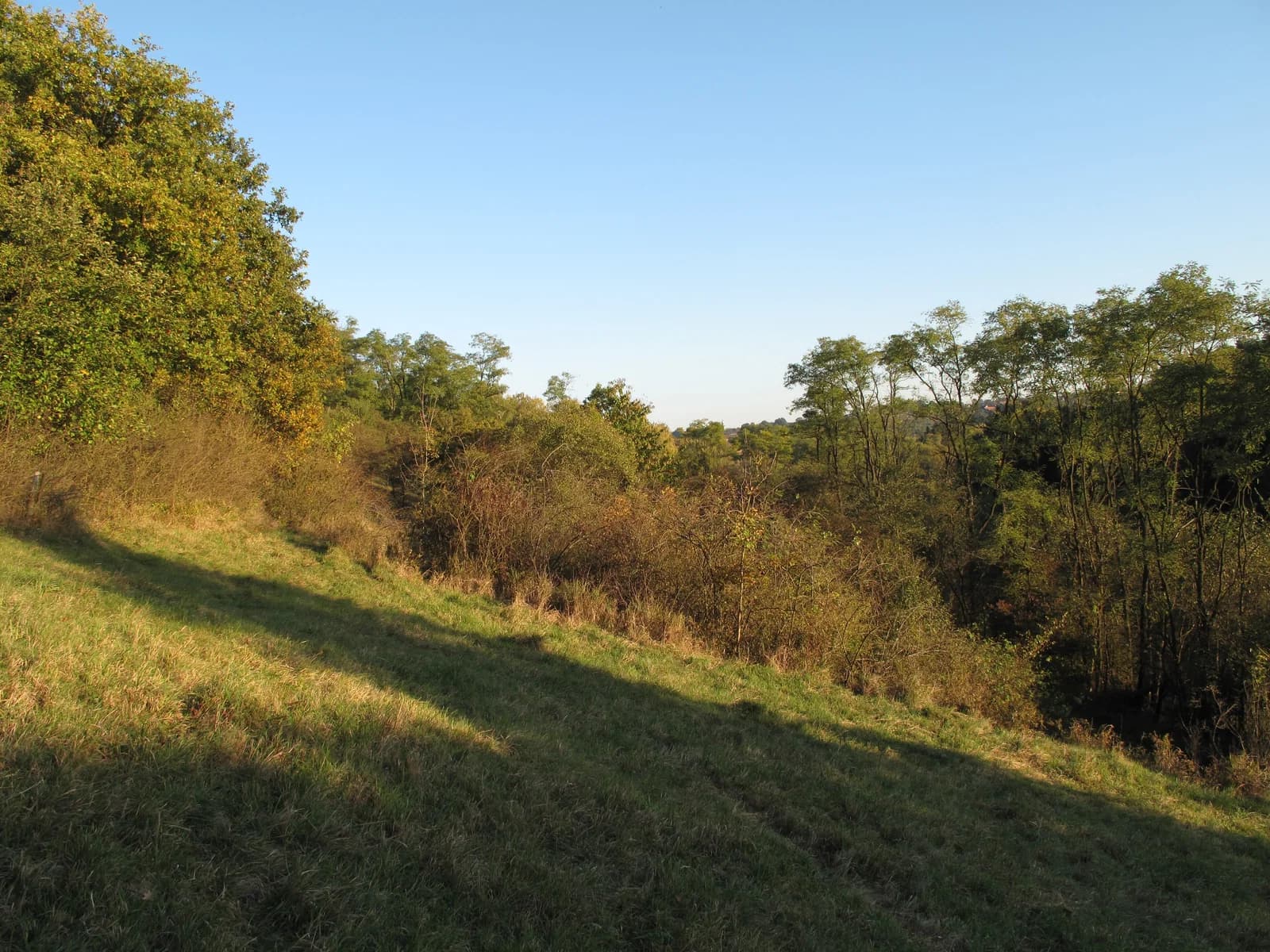 Chodeč