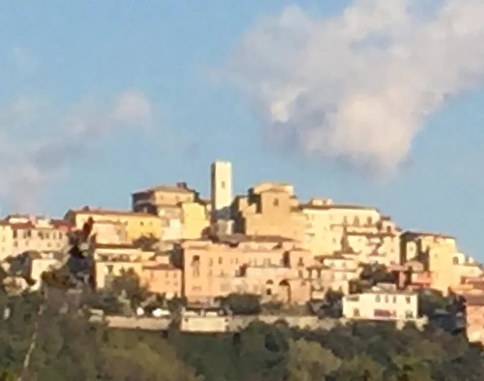 Torrice