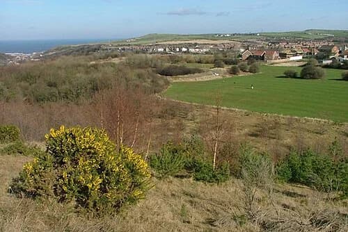 Liverton Mines