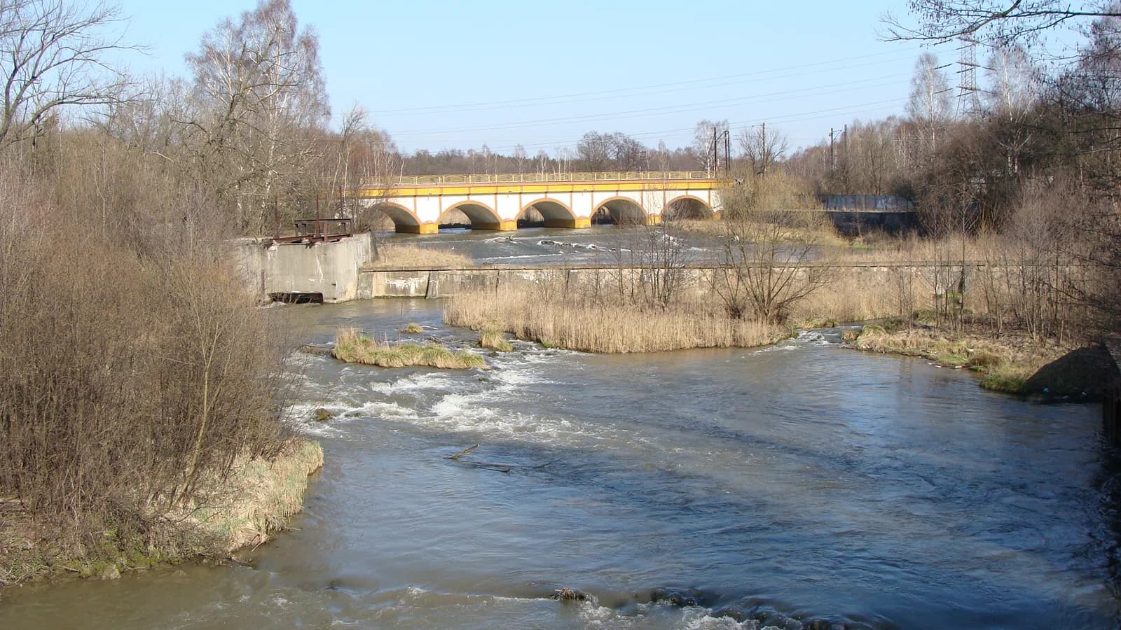 Maczki