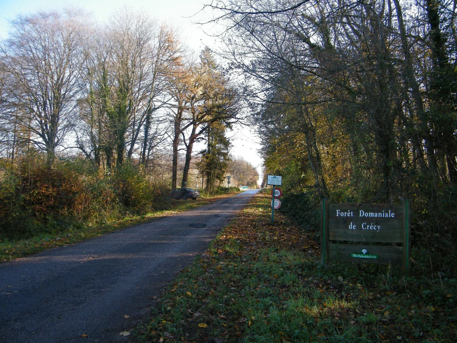 Forest-Montiers