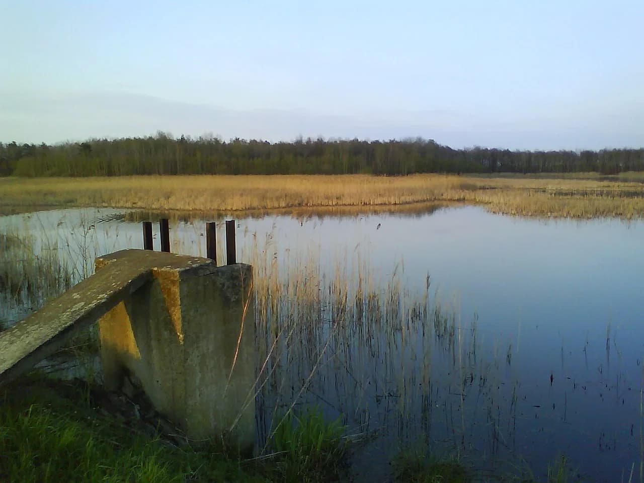 Mieszków (Trzebiel)