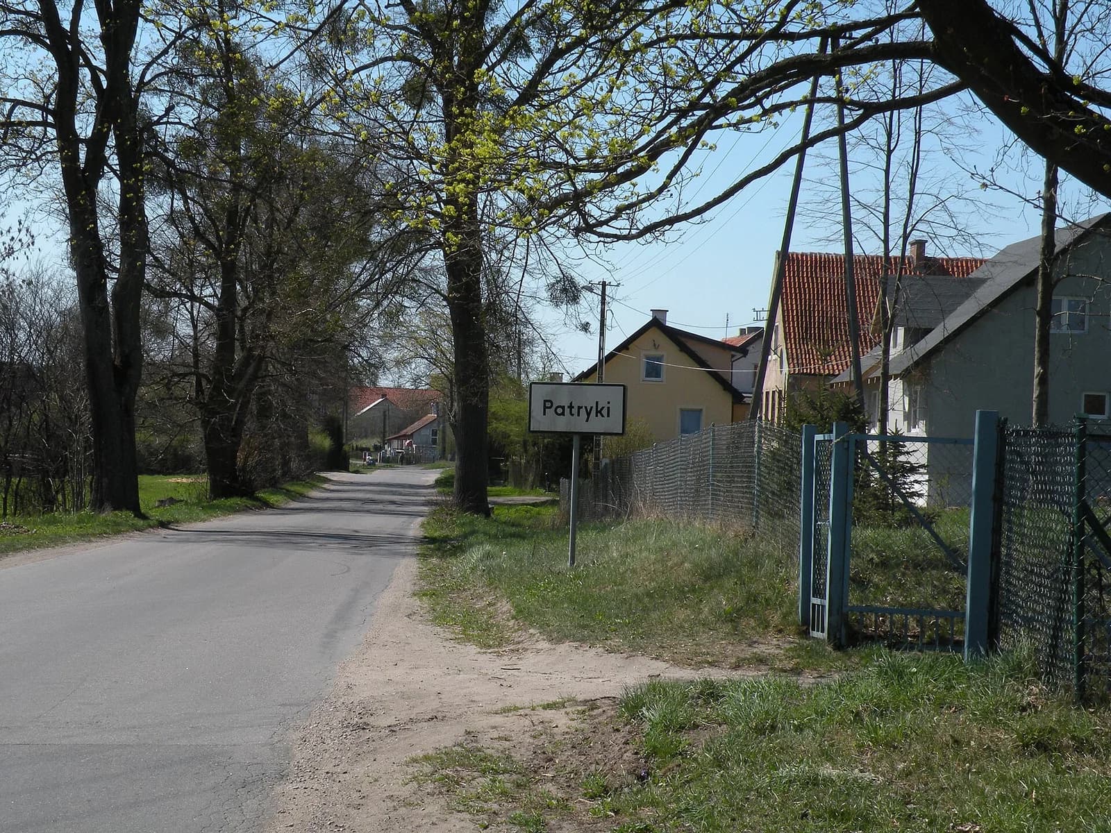 Patryki