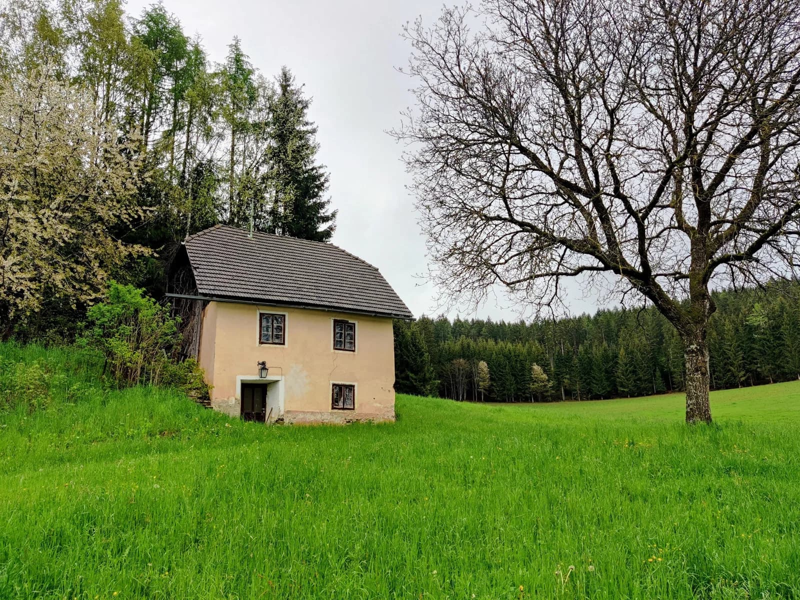 Glanz