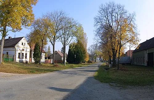 Dřevec