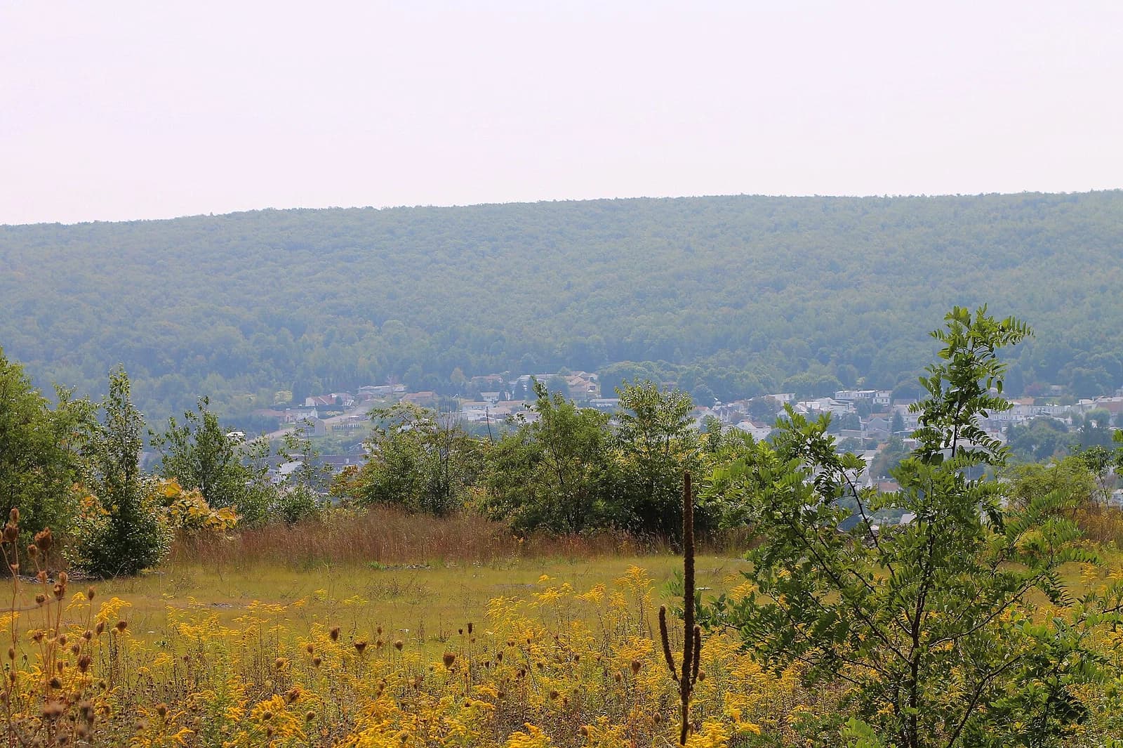 Mount Carmel