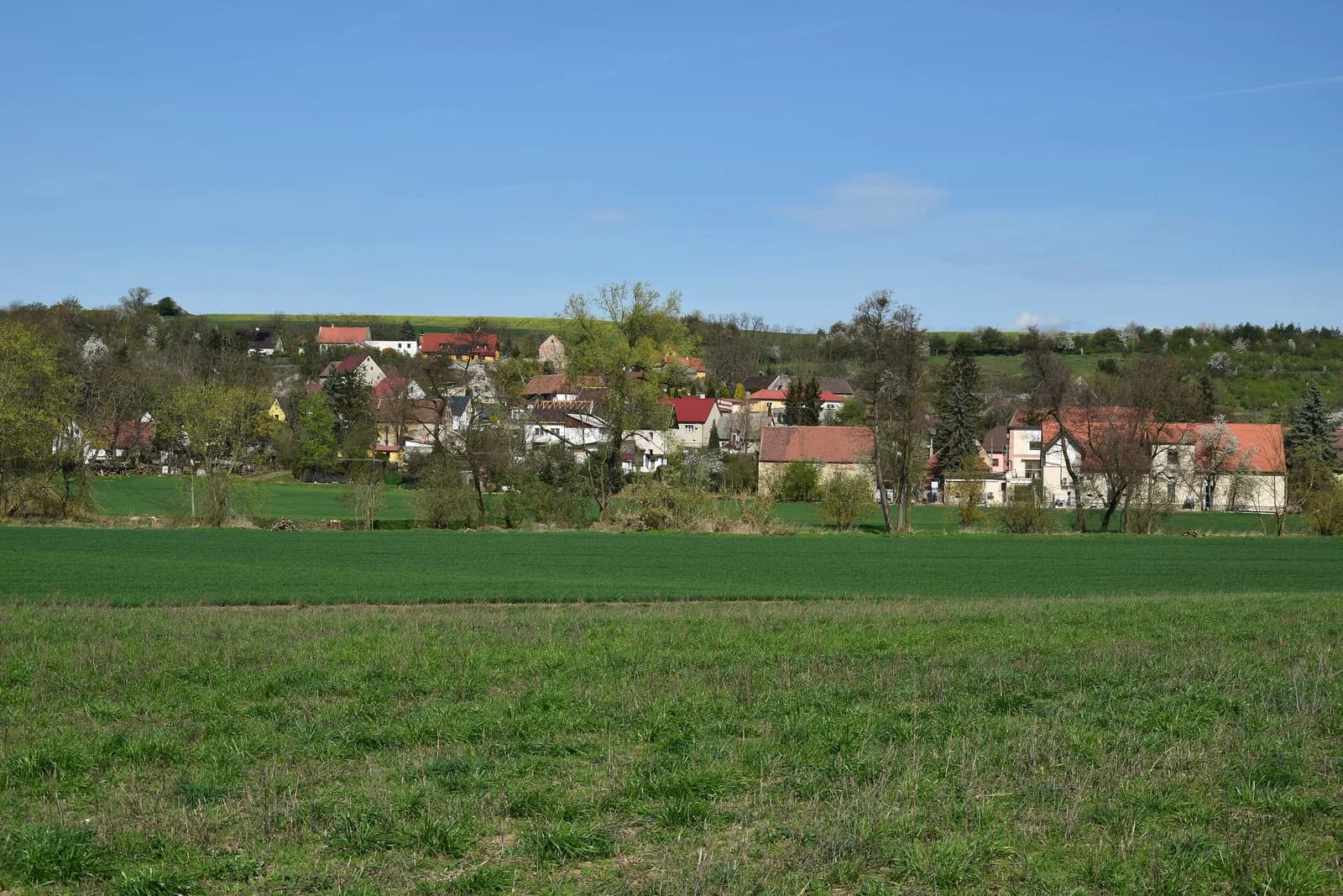 Veletice