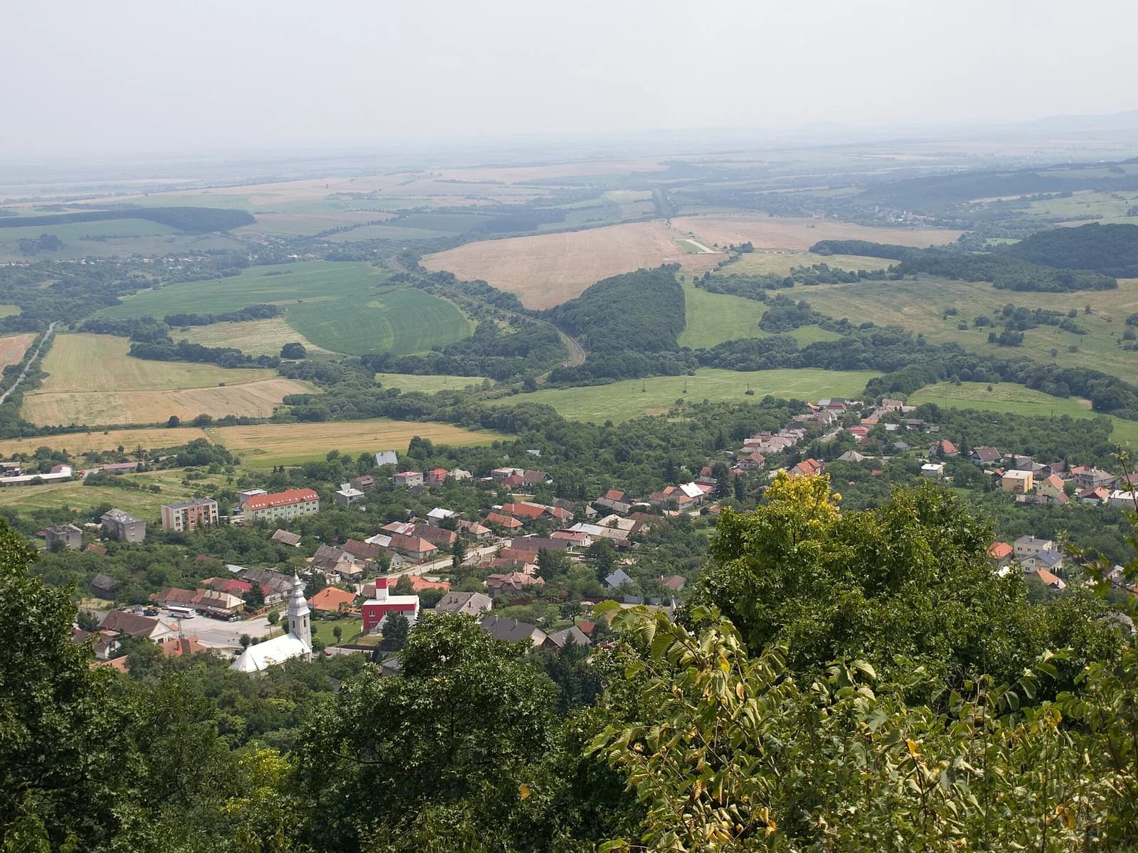Slanec