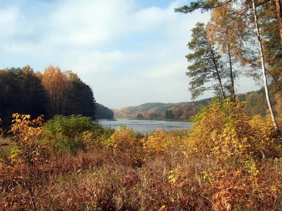 Rajongemeinde Vilnius