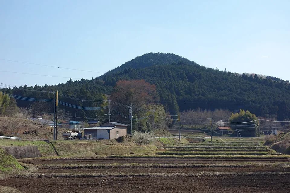 Haga district