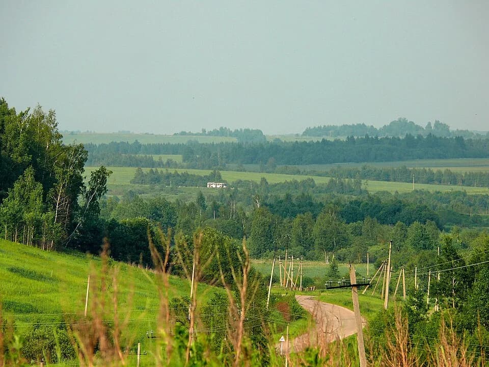 Smolensky District
