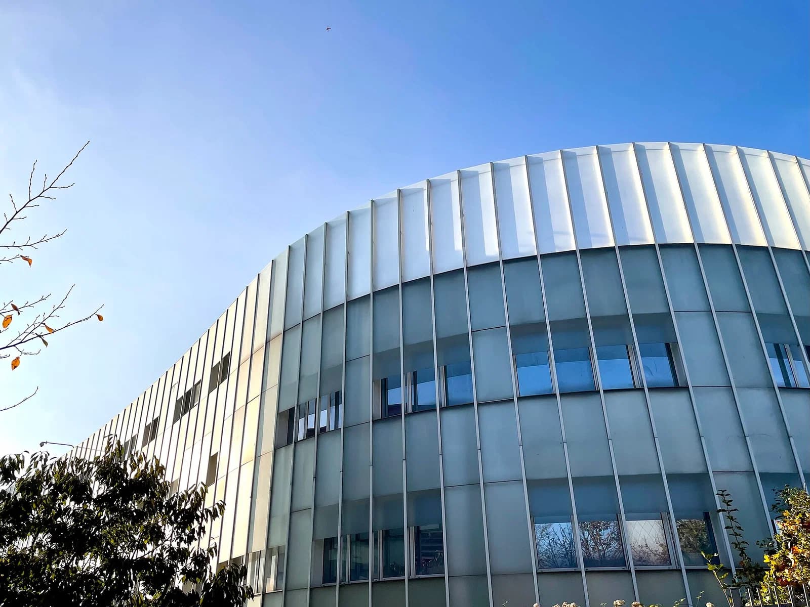 Paris 8 University