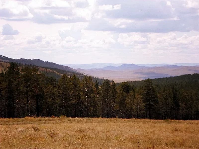 Selenginsky District