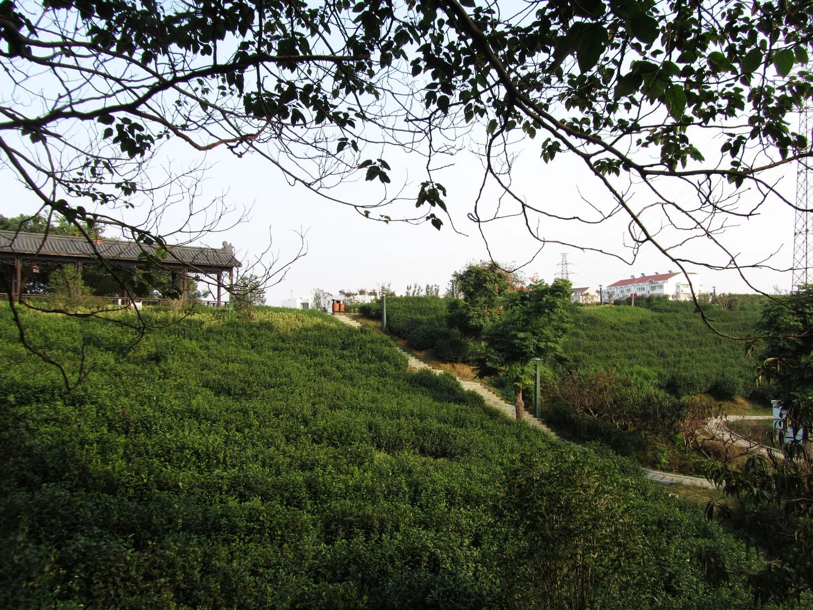 Jingkou