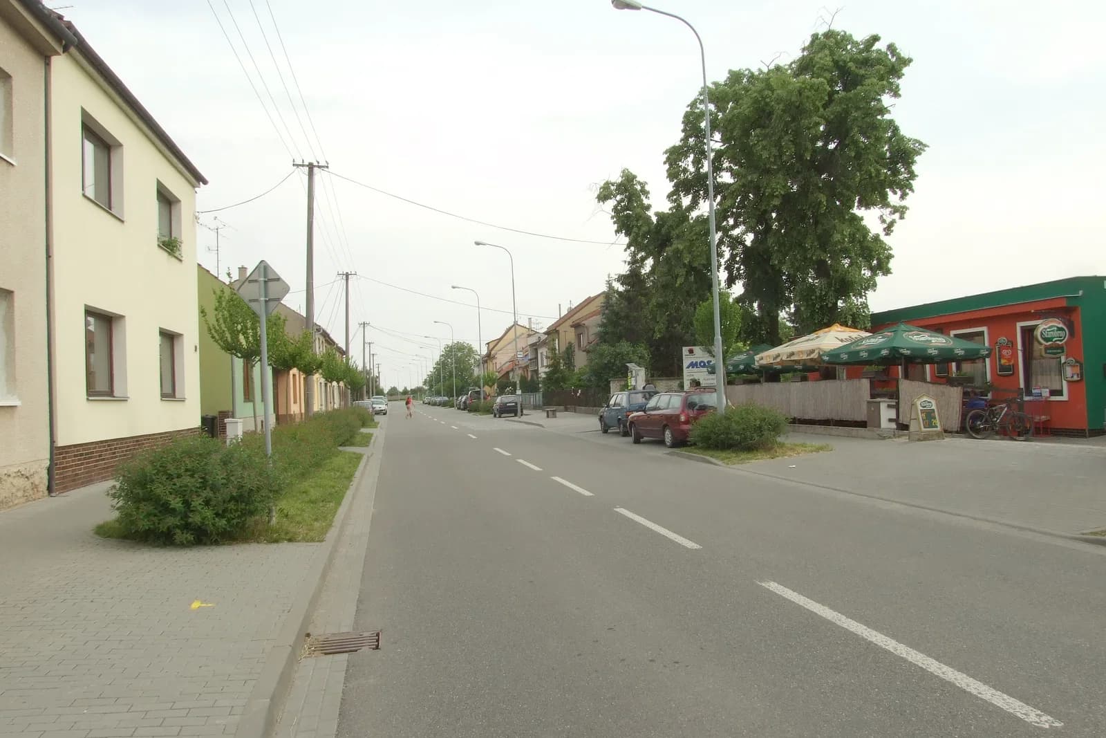 Holásky