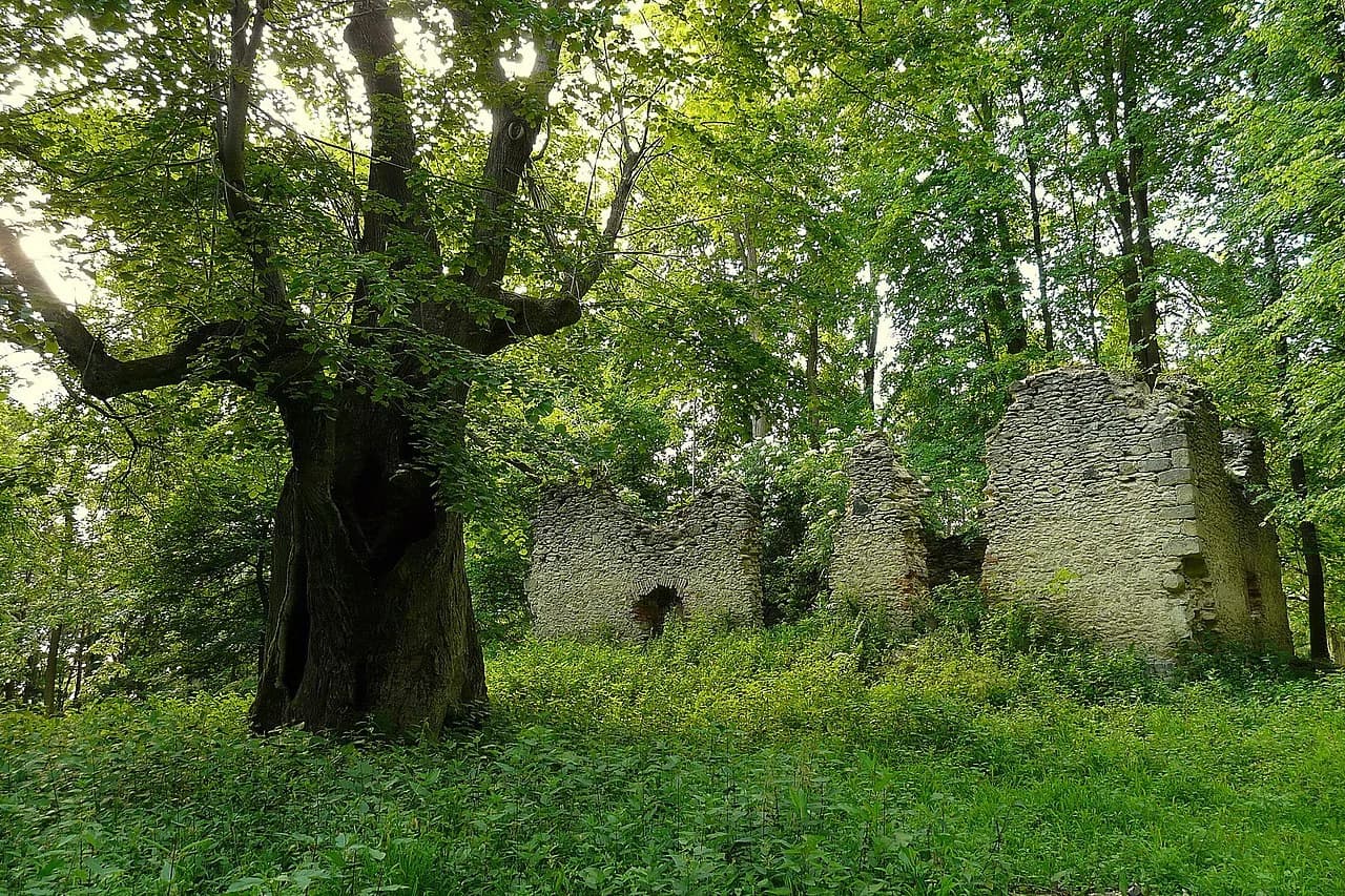Horní Krupá