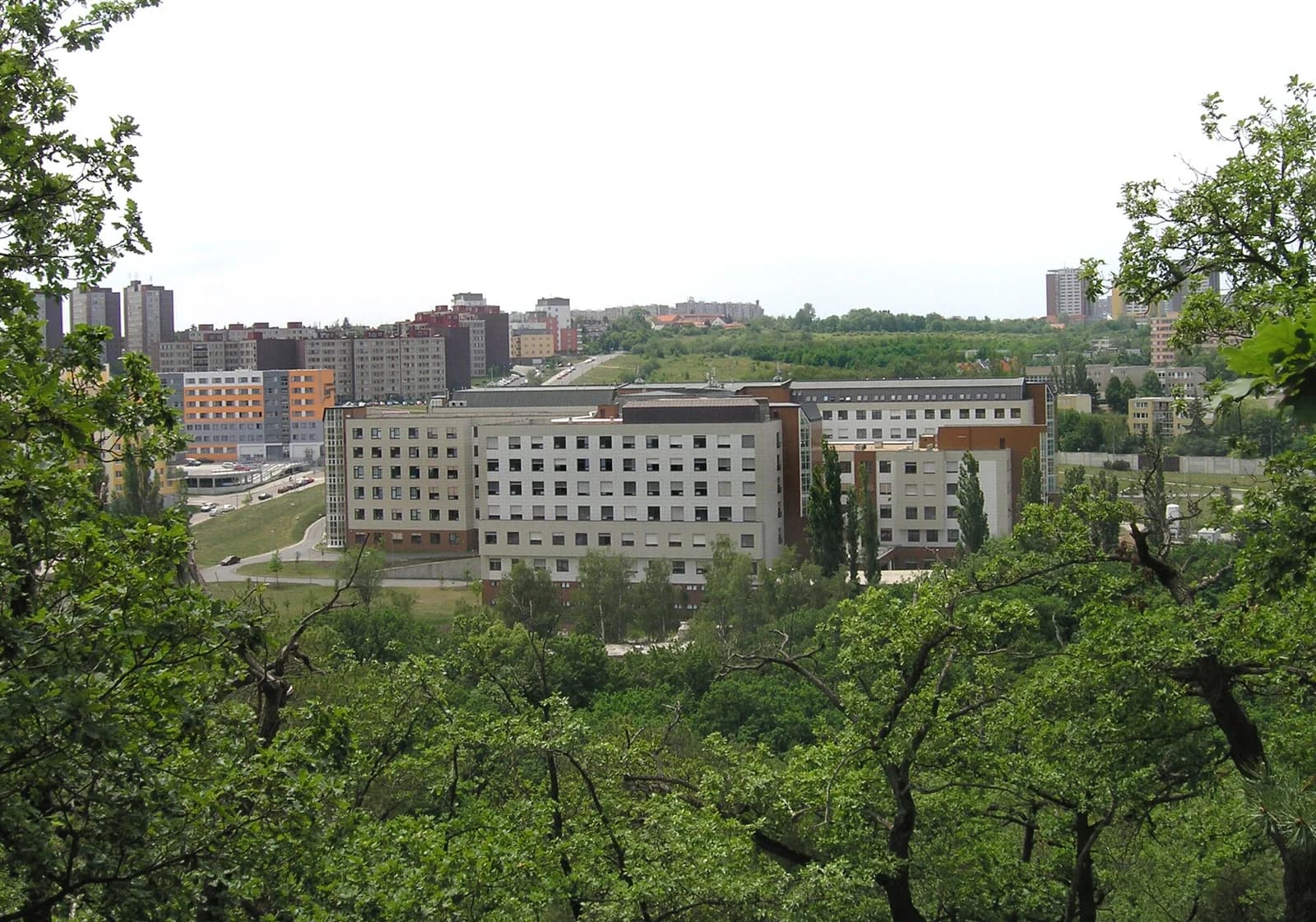 Institute of Clinical and Experimental Medicine