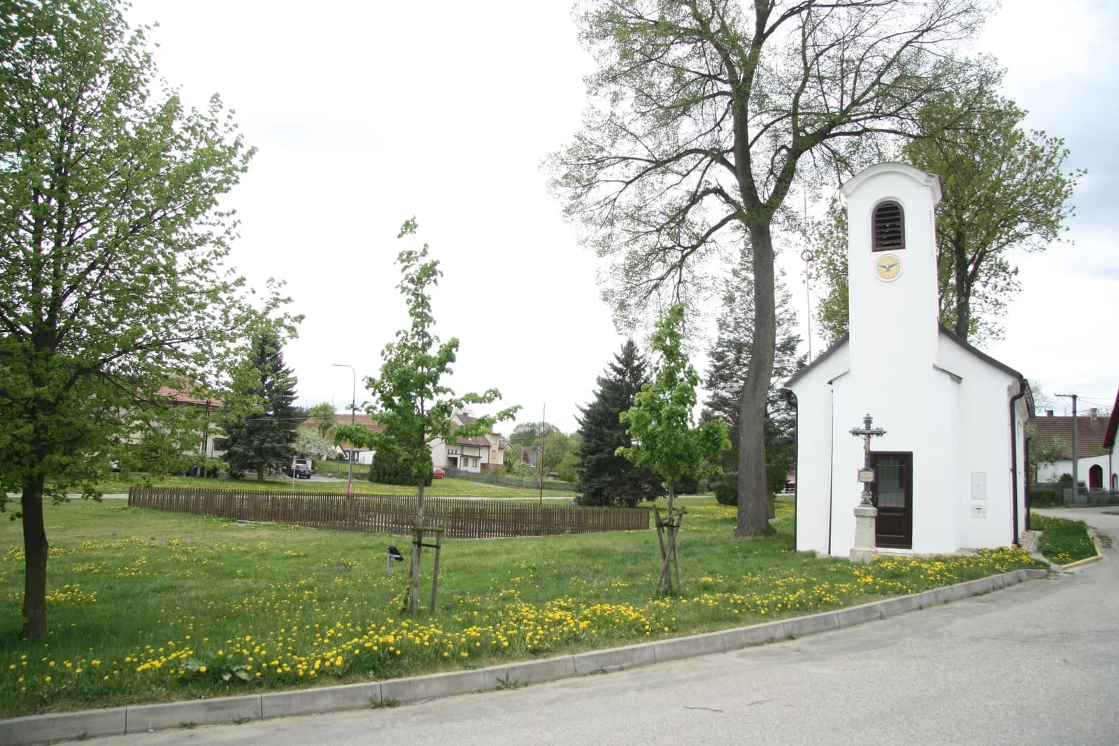 Jetřichovec