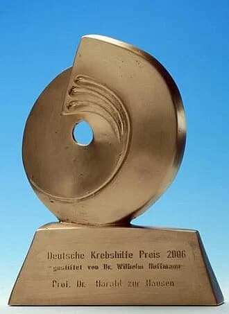 Deutsche Krebshilfe Preis