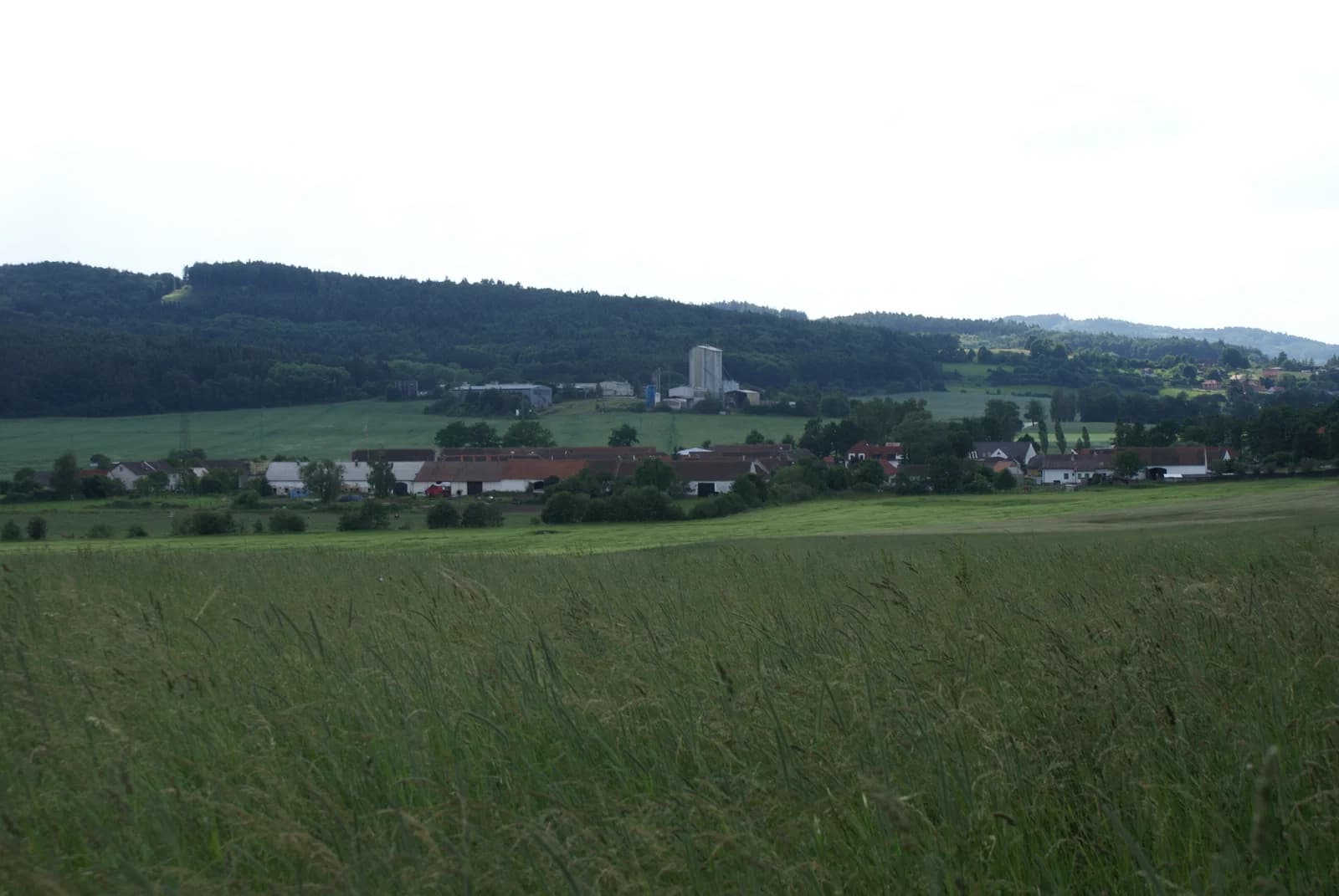 Lidmovice