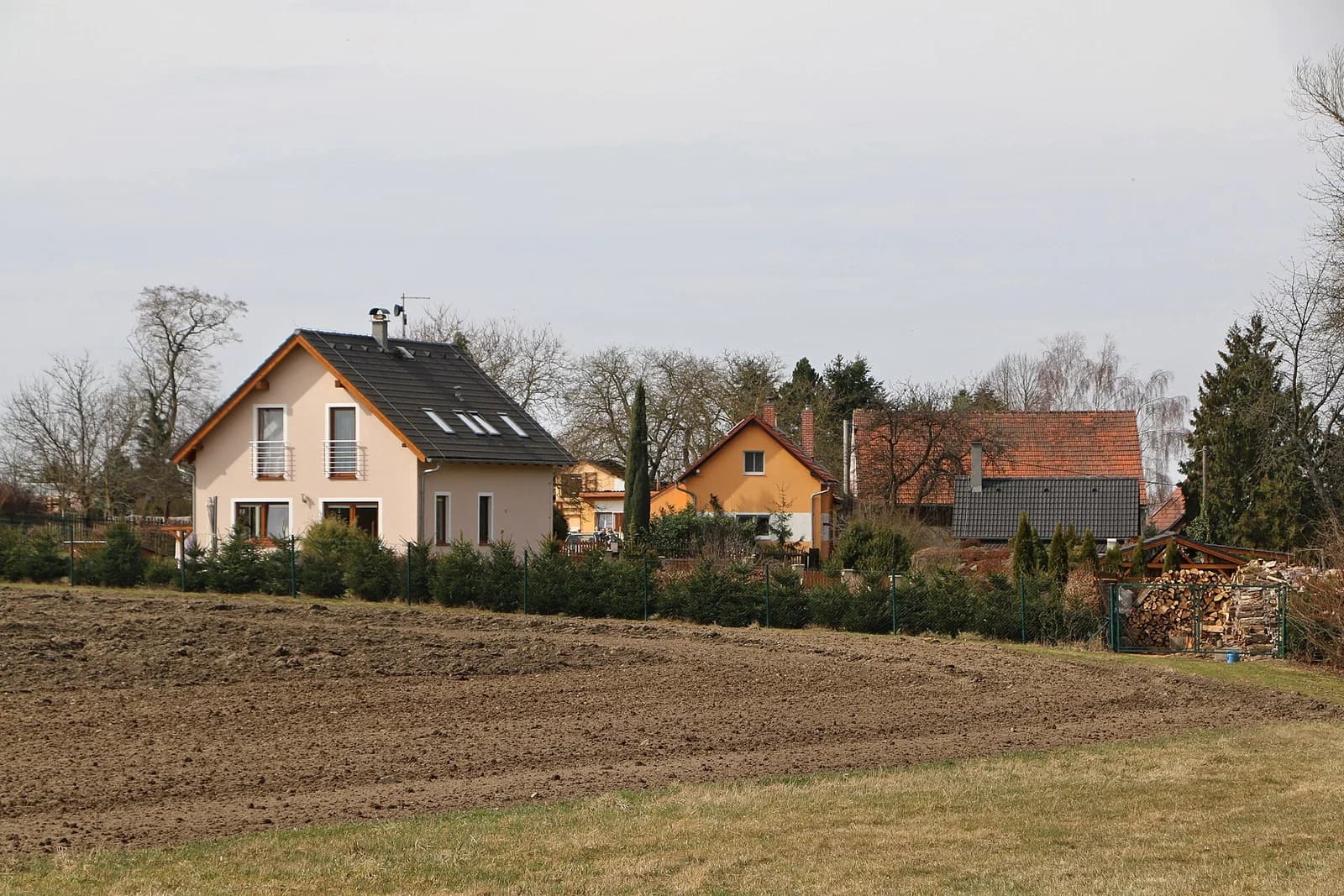 Lípa