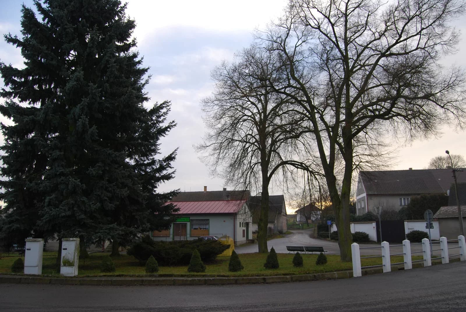Makov