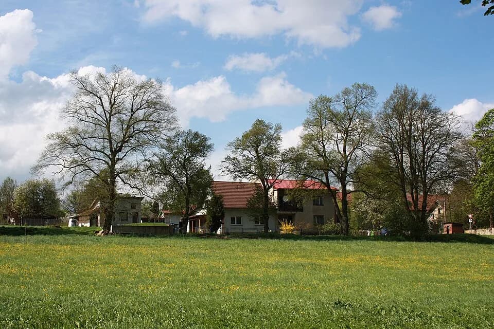 Mitrov