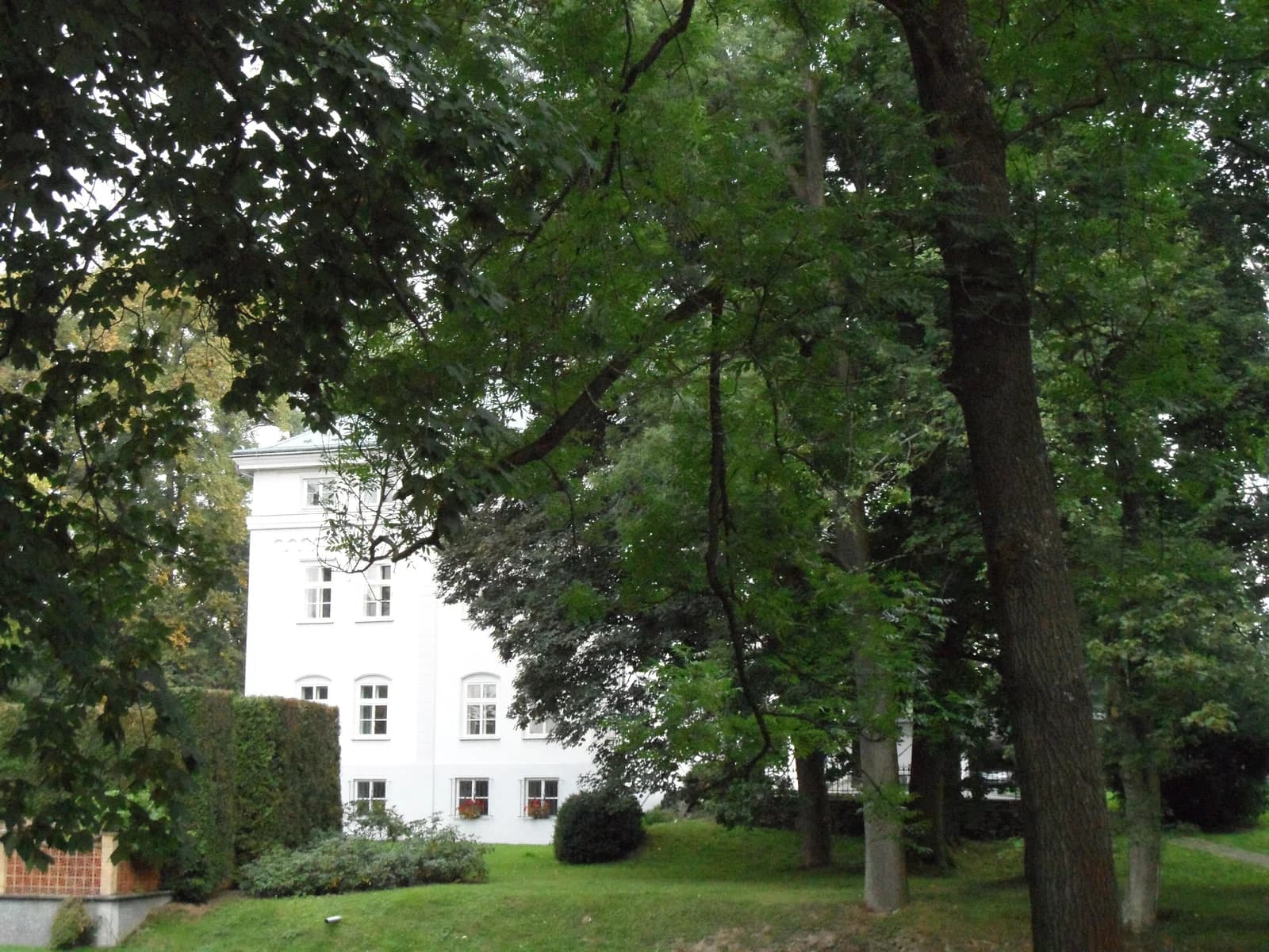 Morány