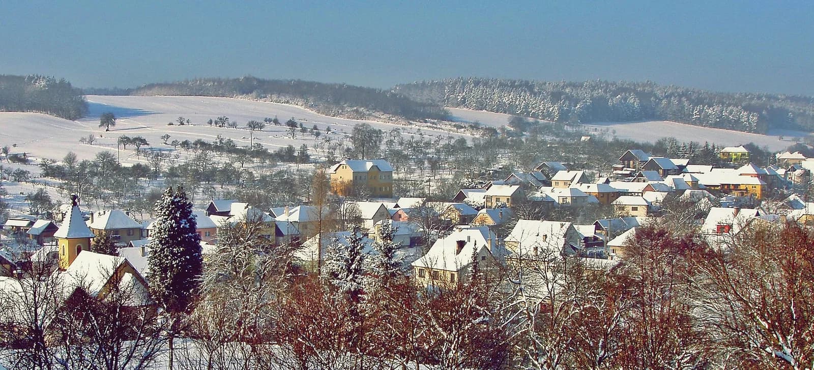 Nevšová
