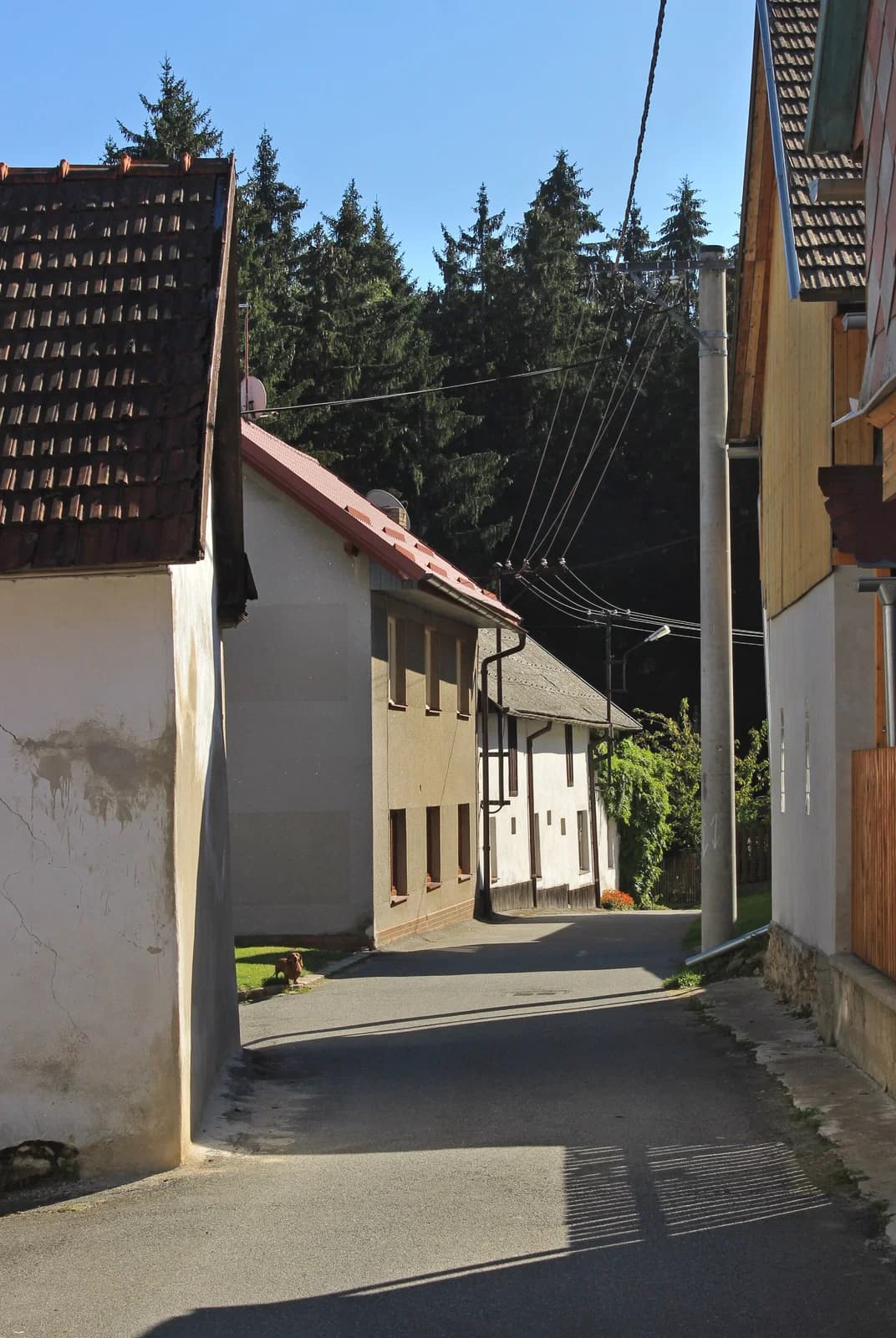 Nová Ves
