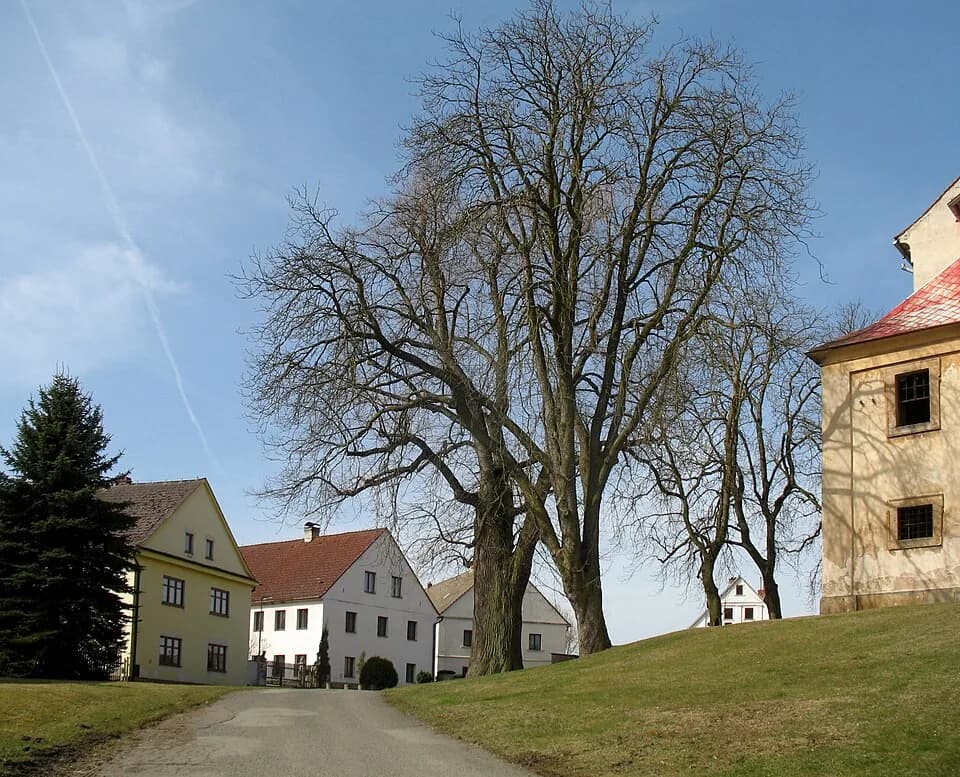 Pavlovice
