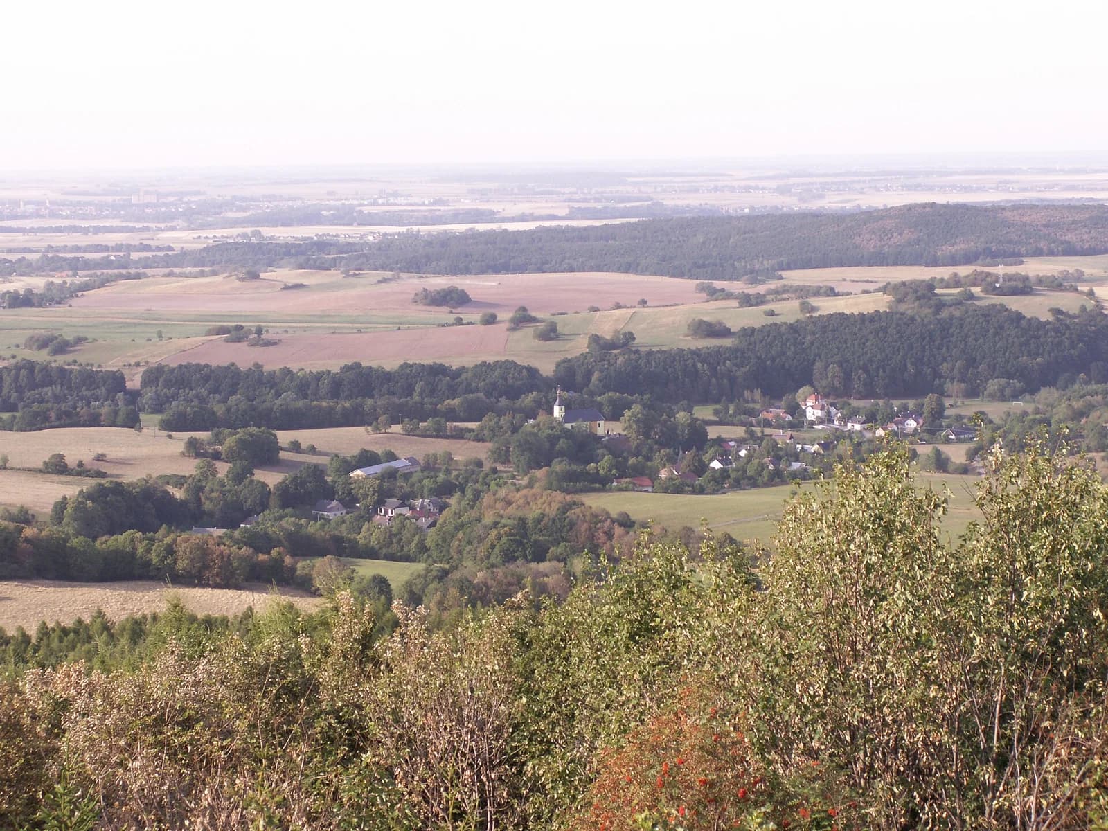 Pitárné