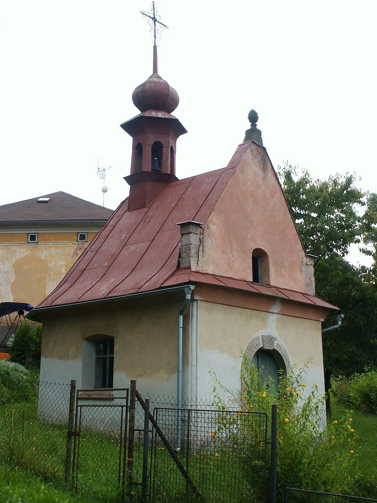 Radkyně