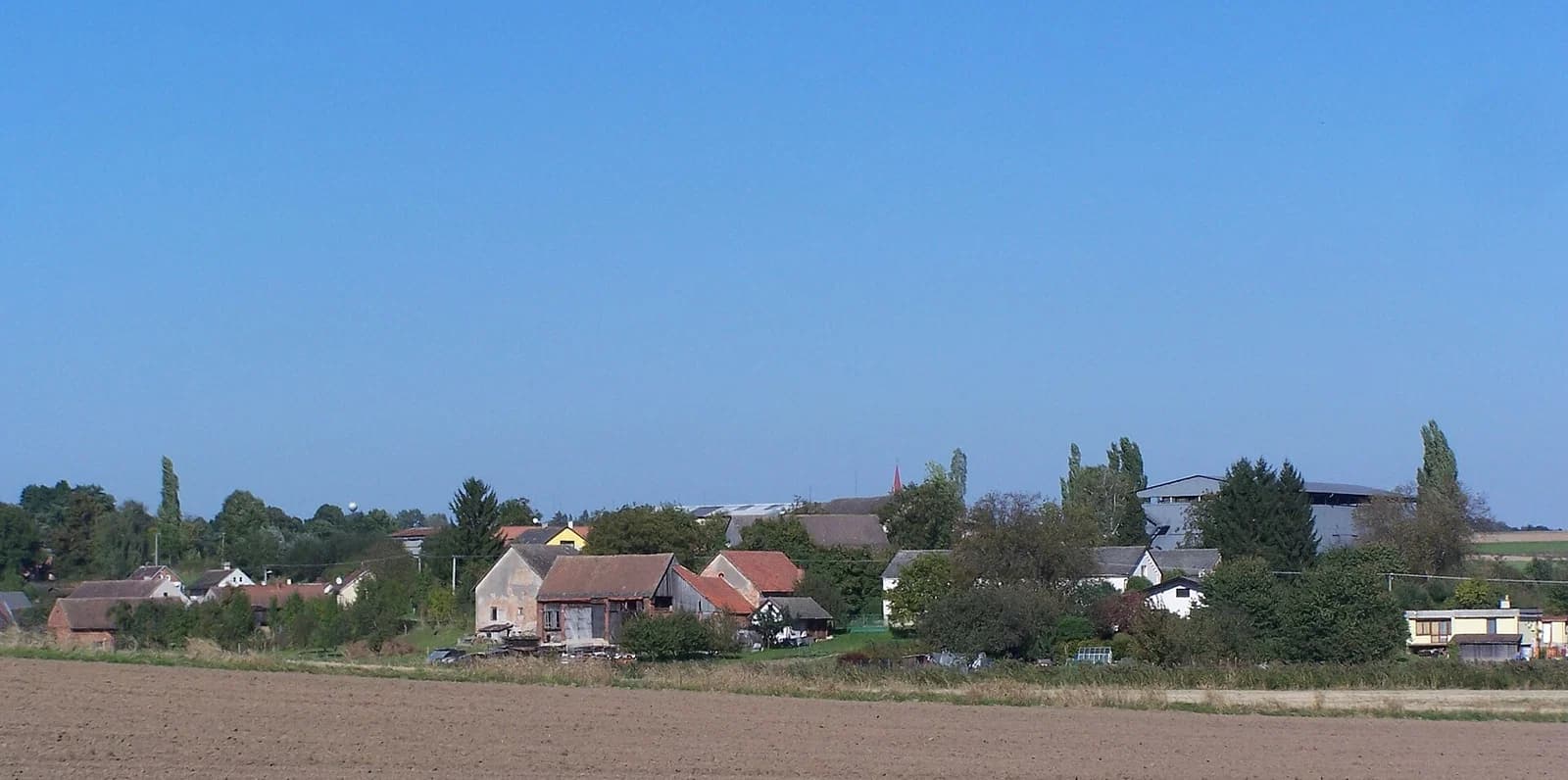 Rtyně