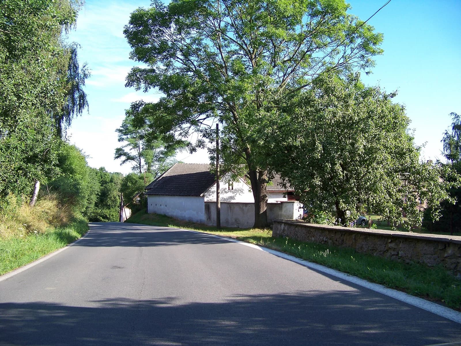 Rudolec