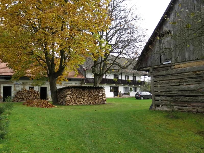 Skuřina