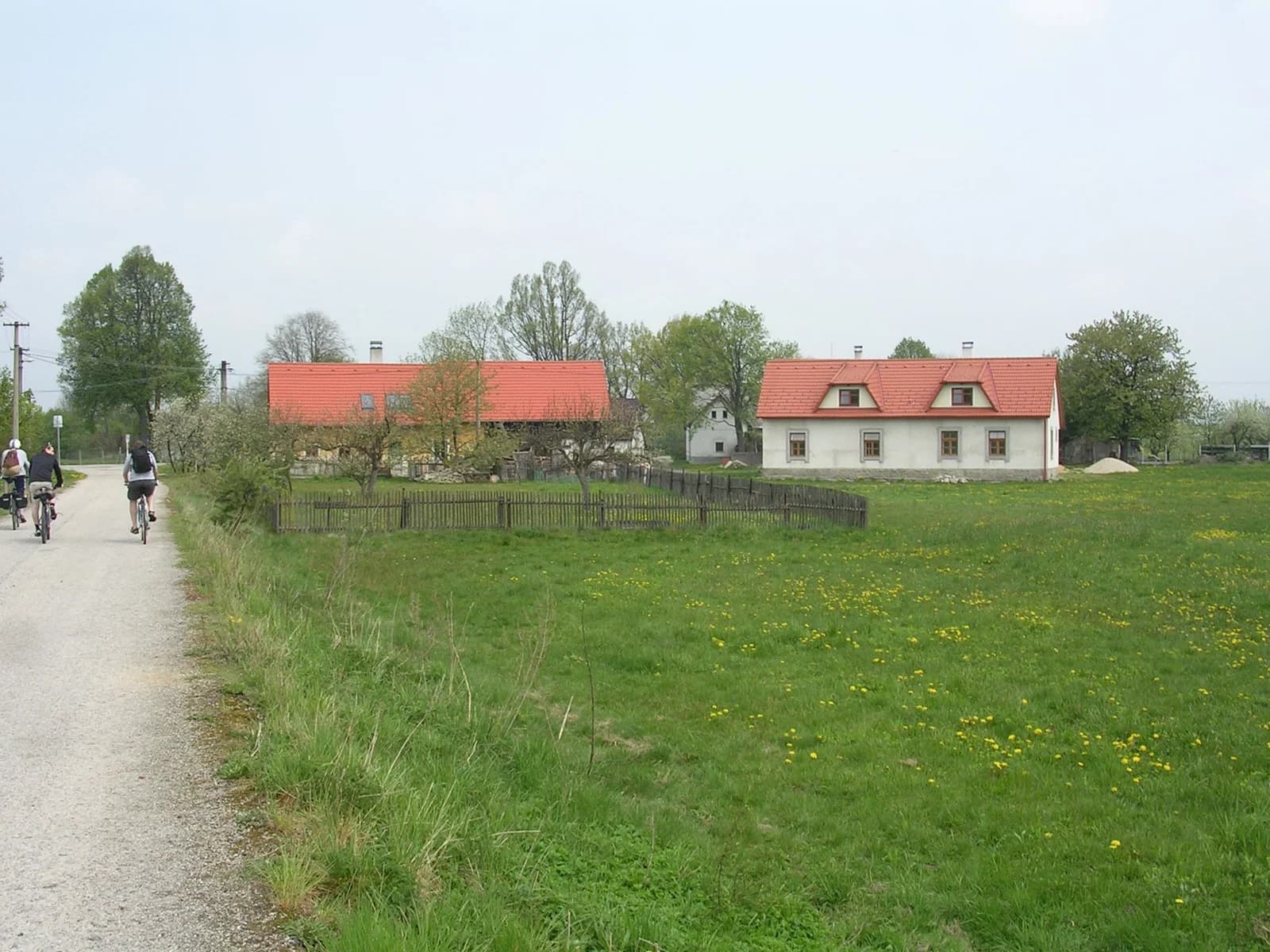 Smrčná
