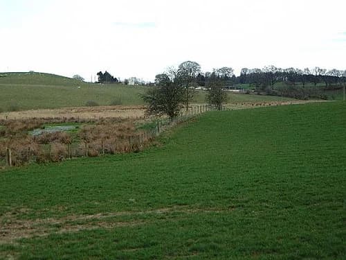 Dryfesdale