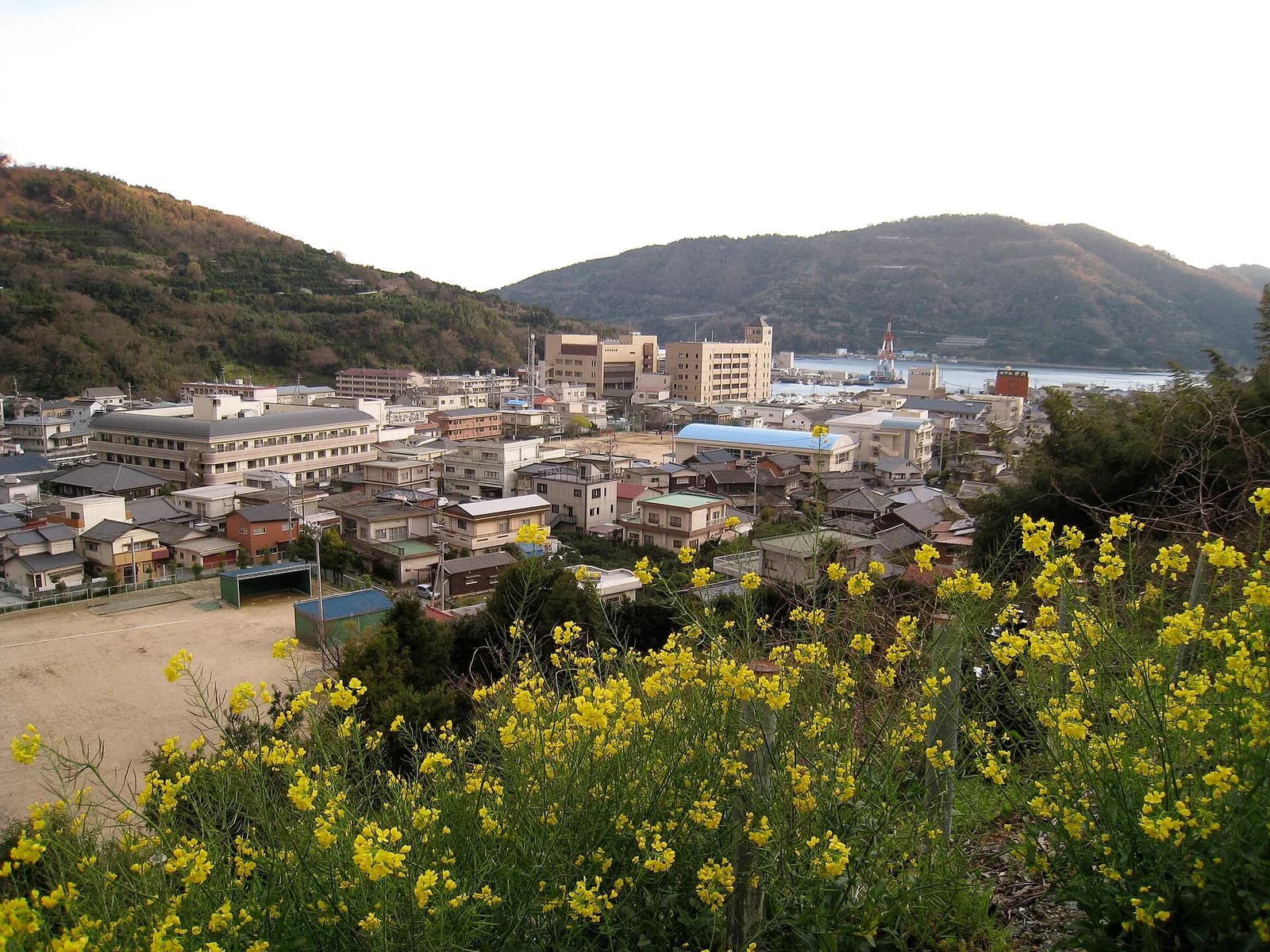Ikata