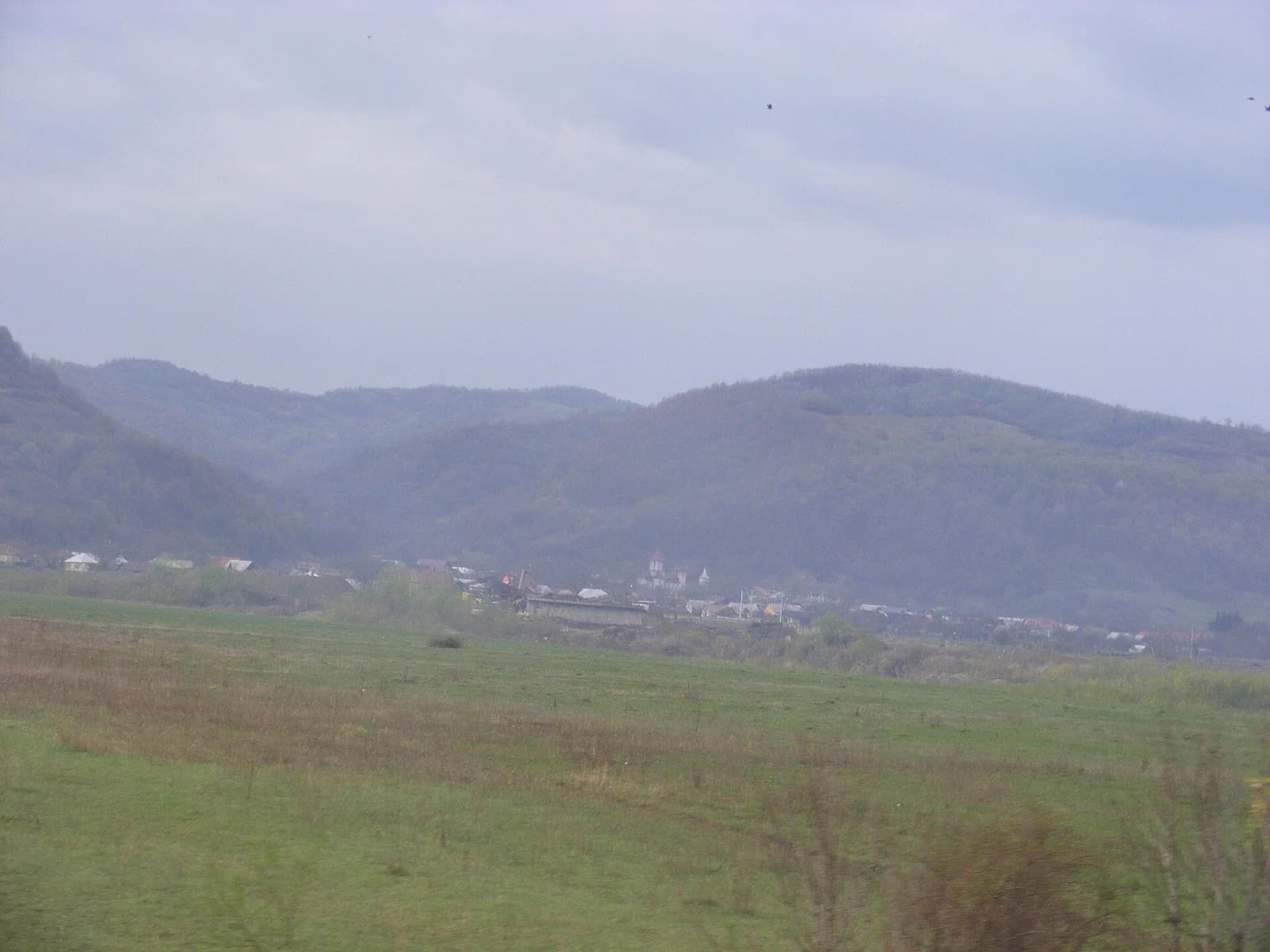 Braniștea