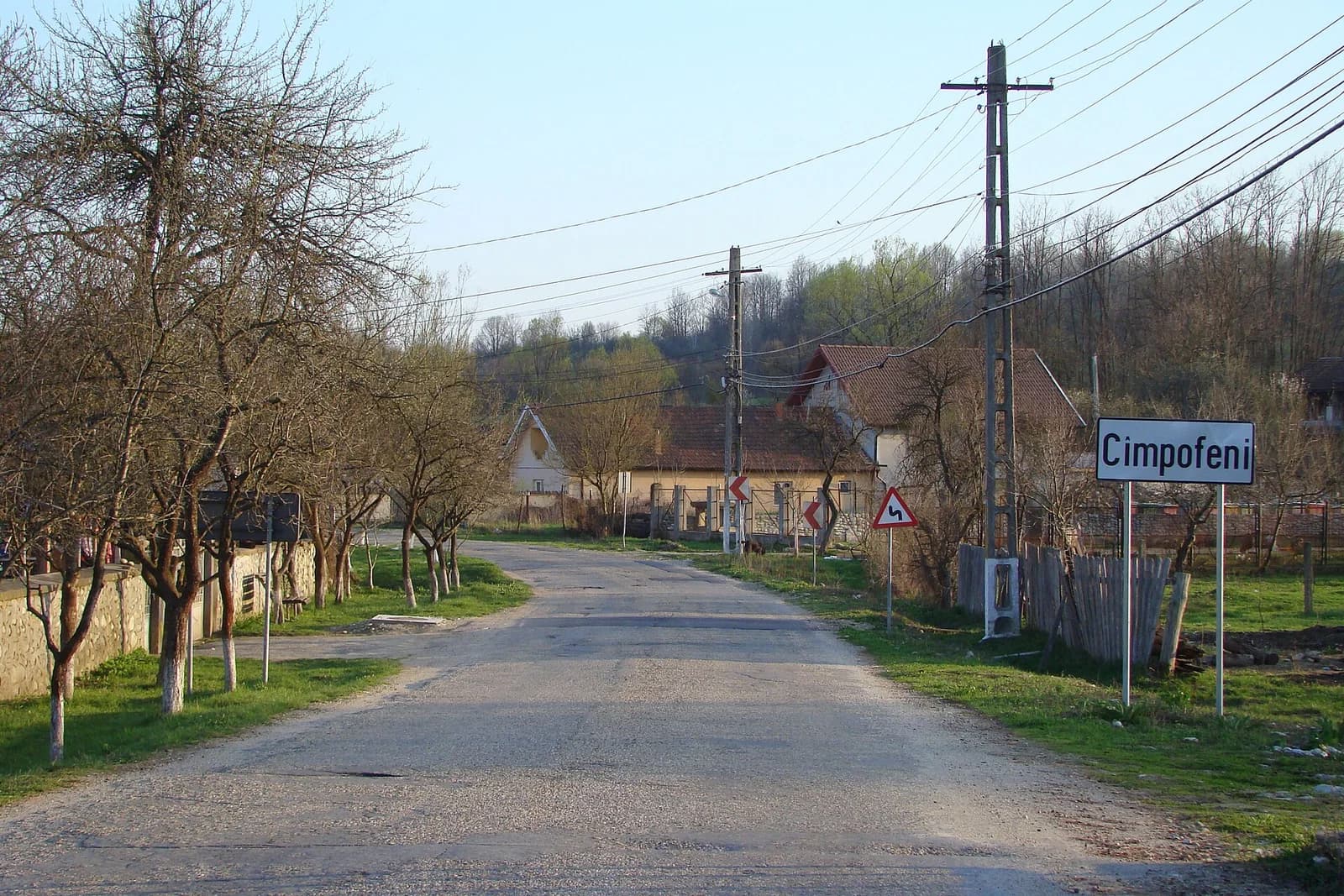 Câmpofeni