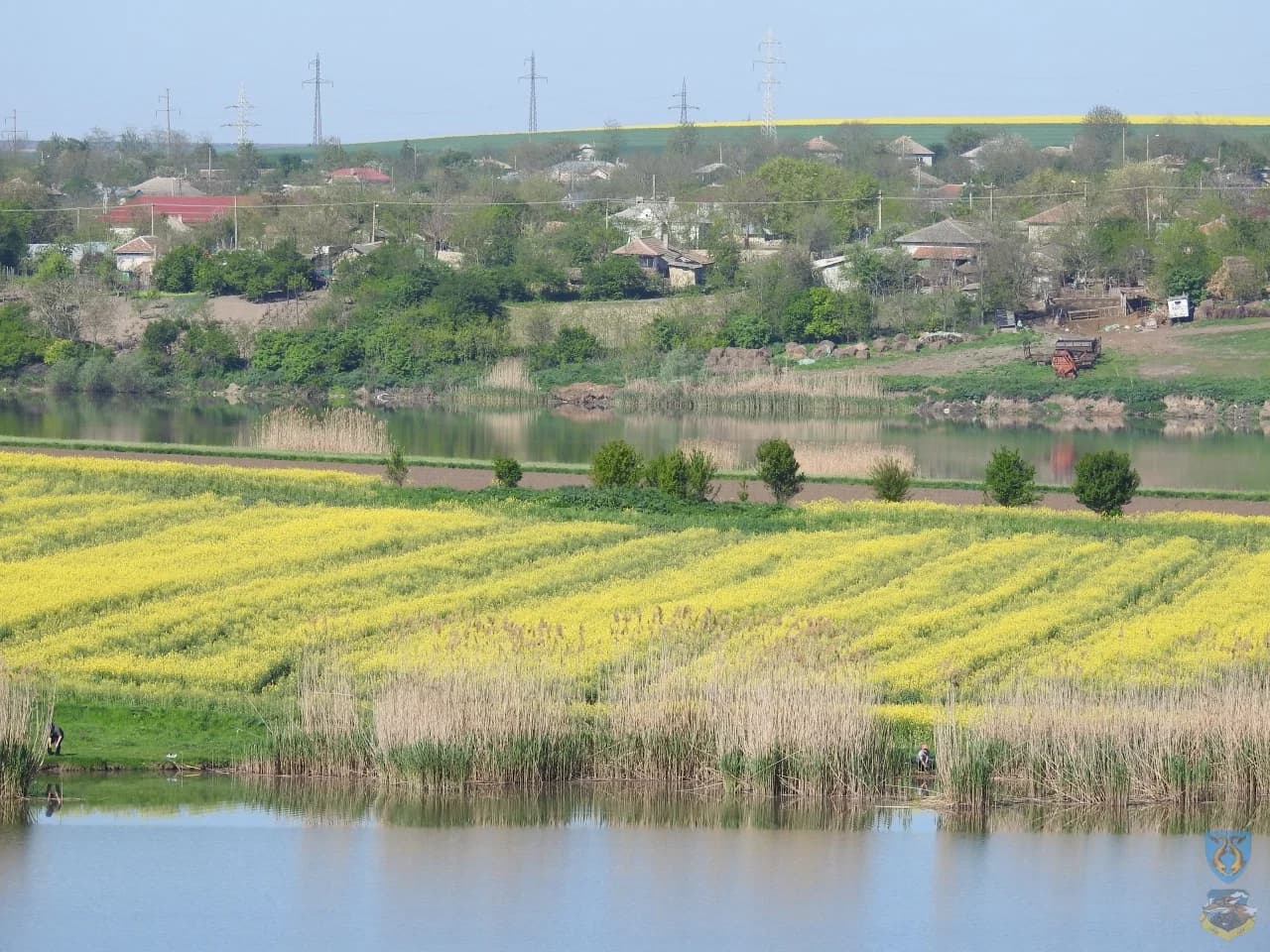 Negrești