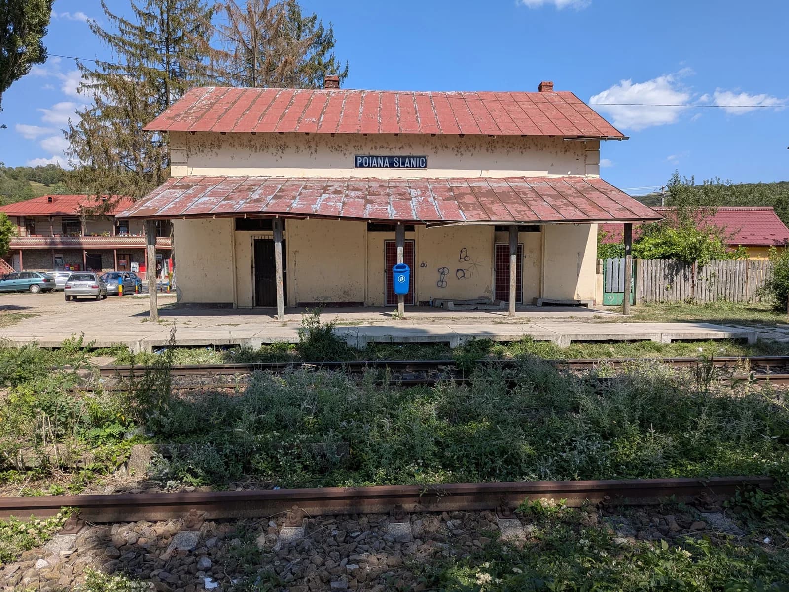 Poiana Vărbilău