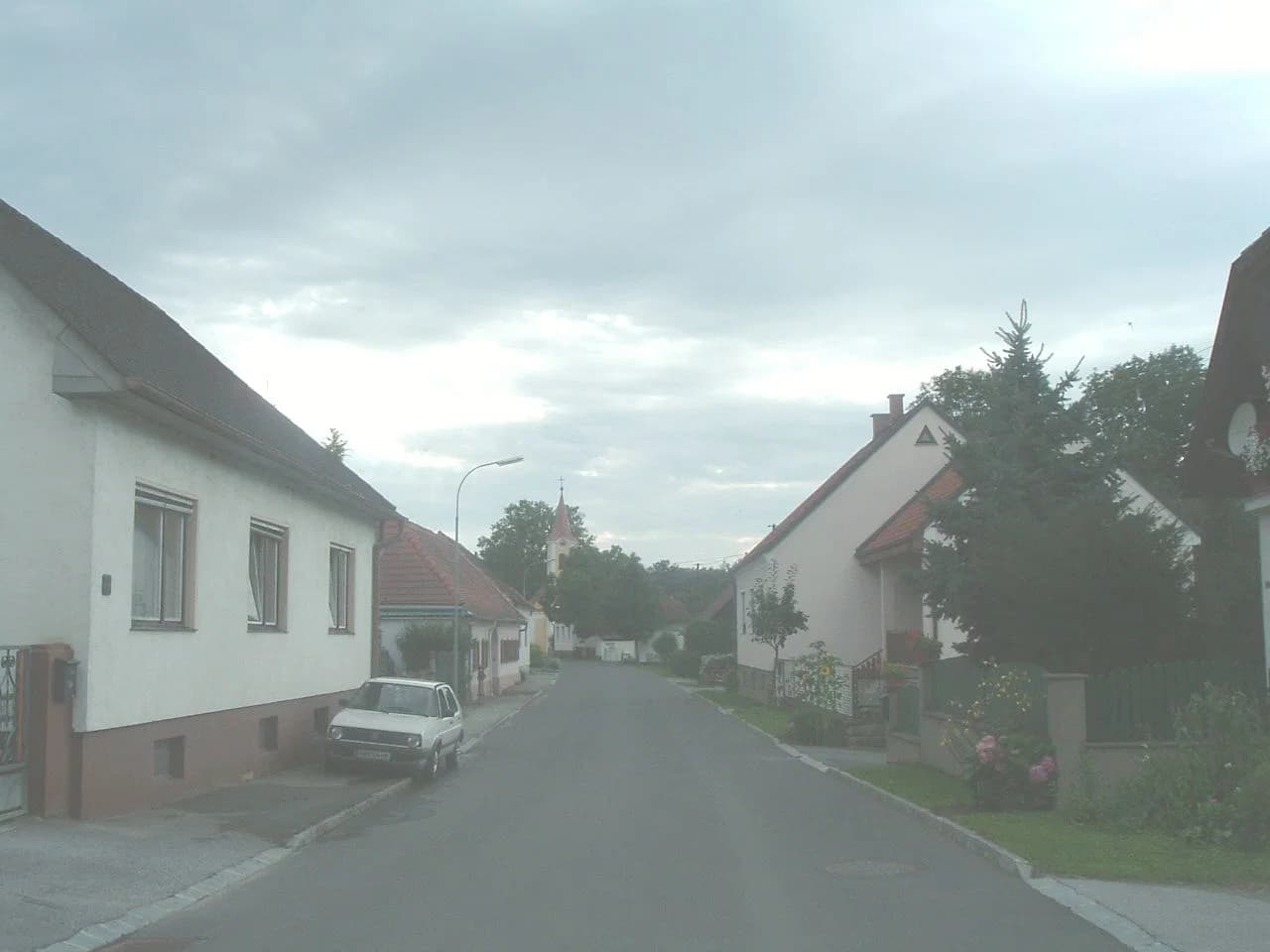 Eisenzicken