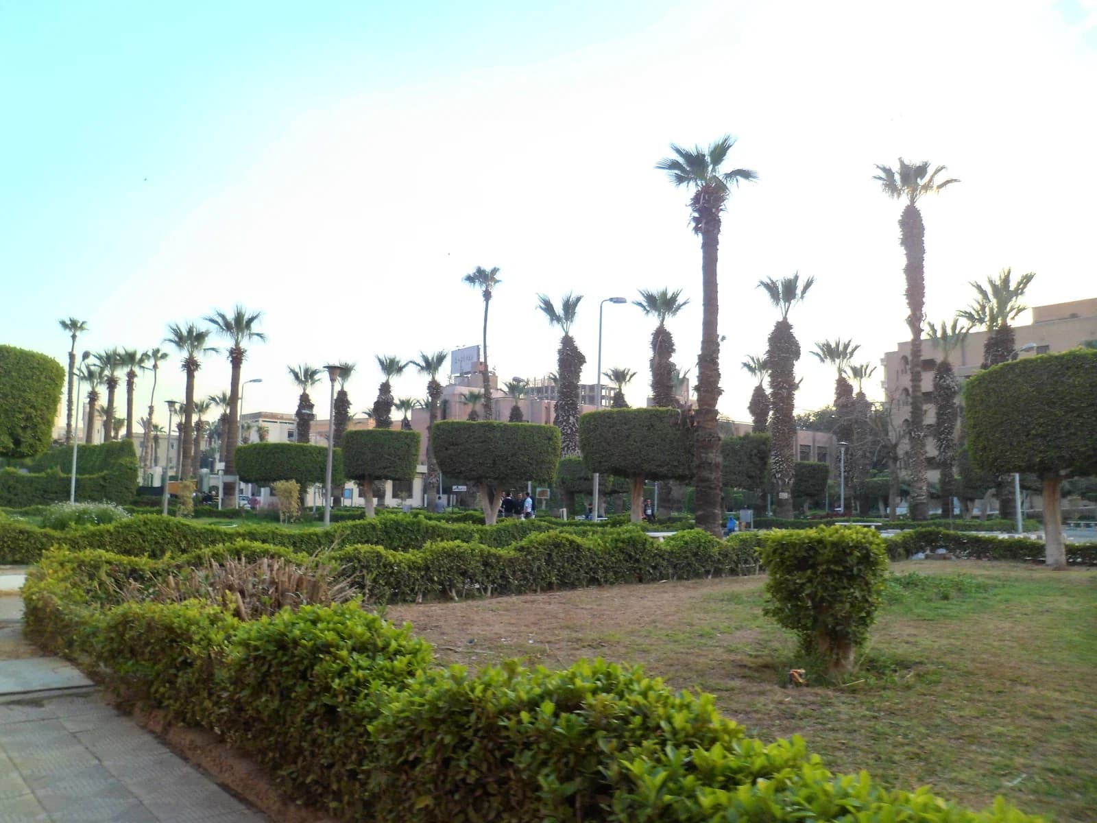 Faculty of Agriculture, Cairo University