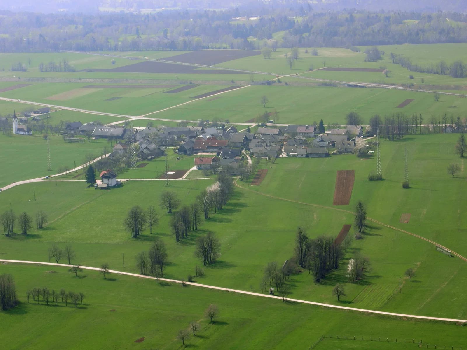 Vrba