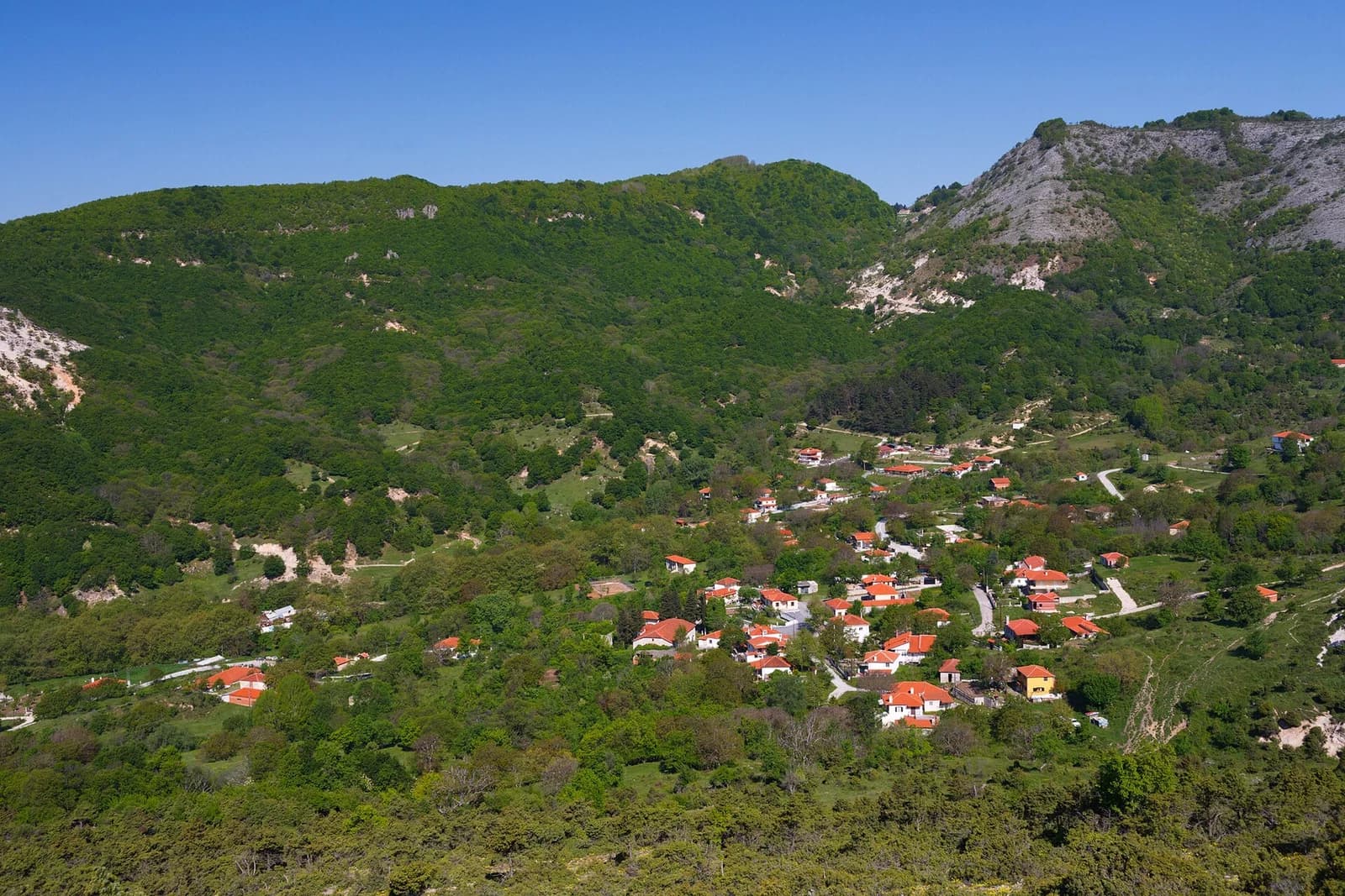 Panorama
