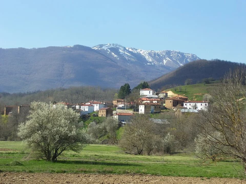 Kotas